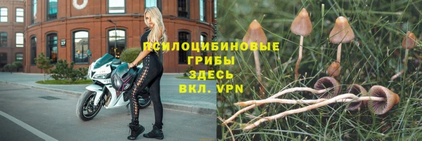 метадон Армянск
