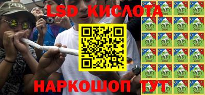 дживик Можга