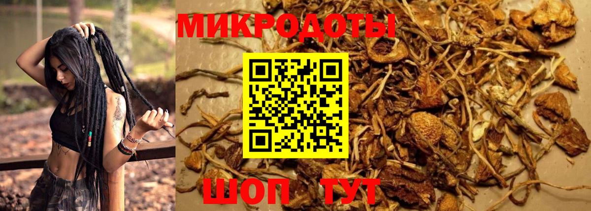 Галлюциногенные грибы Magic Shrooms  купить наркоту  Вход с VPN  Дмитров  Галлюциногенные грибы ЛСД 